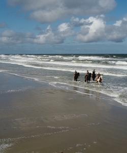 Netherlands Horse Riding