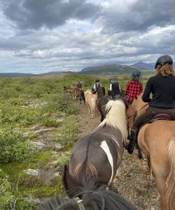 Iceland Horse Riding