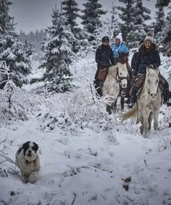 Romania Horse Riding