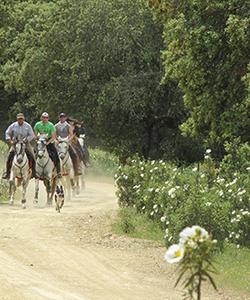 Spain Horse Riding