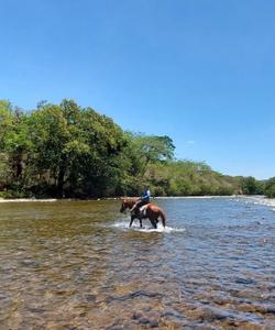 Panama Horse Riding