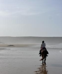 Empty beaches of Morocco