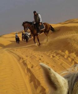 Tunisia Horse Riding