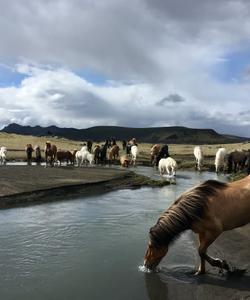 Southern Iceland