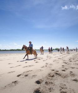 Argentina Horse Riding