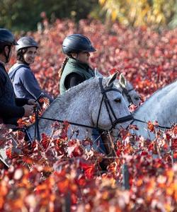 Portugal Horse Riding