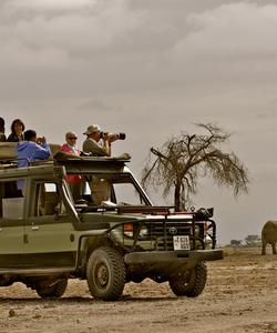 Tanzania Safari