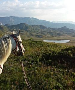 Montenegro Horse Riding