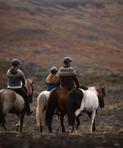 Iceland Horse Riding