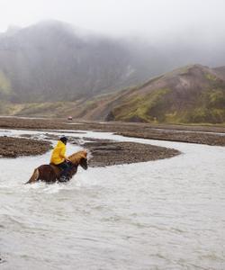 Iceland Riding