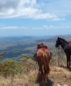 Panama Horse Riding