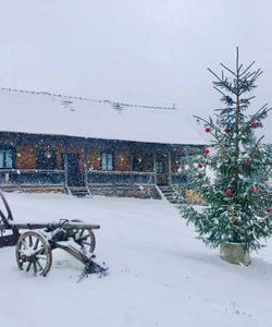 Romania Travel