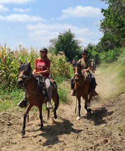 Peru Horse Riding