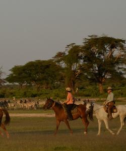 Tanzania Horse Safari