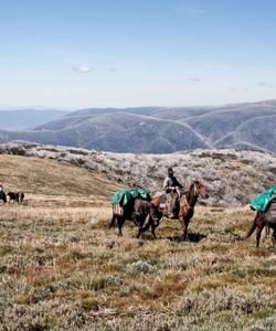 Australia riding