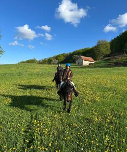 Serbia Horse Riding