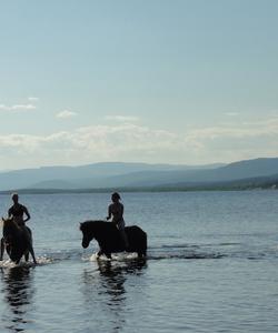 Sweden Riding