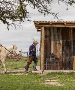 Argentina Horse Ranch