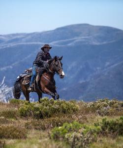 Australia riding