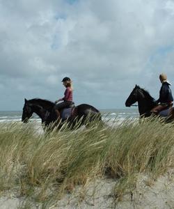 Netherlands Horse Riding