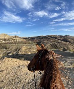 Caucasus Horse Riding