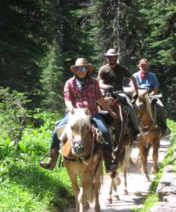 Tourists on a ride 
