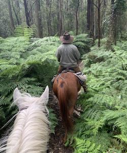 Australia riding