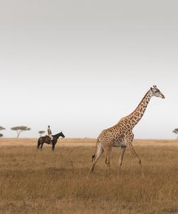Kenya Horseback Safari