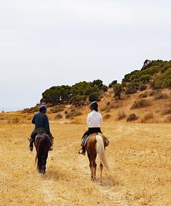 On the ride 