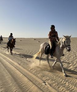 Tunisia Horse Riding