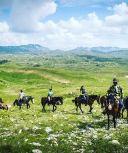 Montenegro Horse Riding