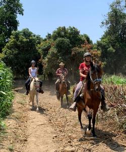 Peru Horse Riding