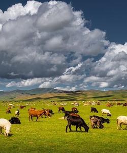 Mongolia Horse Riding