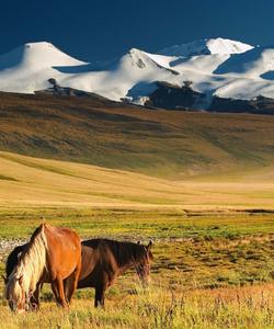 Mongolia Horse Riding
