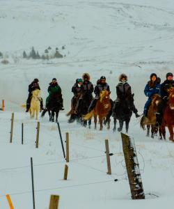 Iceland Horse Riding