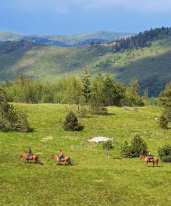 Slovenia Horseriding