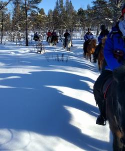 Sweden Riding