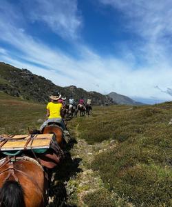 During the ride 