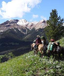 During the ride 