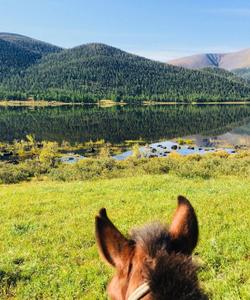 Mongolia Horse Riding