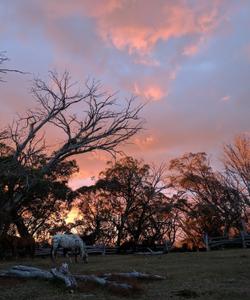 Sunset view 