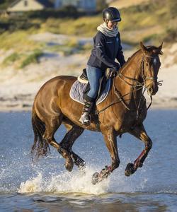 Horse riding in Iceland 