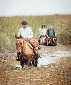 Argentina Horse Riding