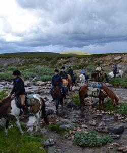 Sweden Riding