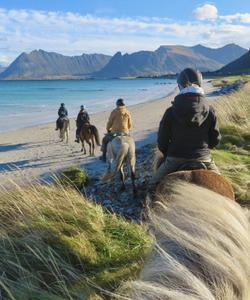Norway Horse Riding
