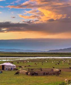 Mongolia Travel