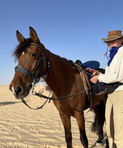 Tunisia Horse Riding