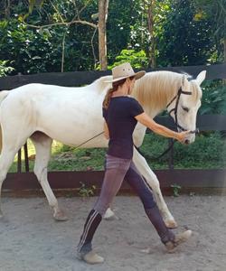 Indonesia Horse Riding