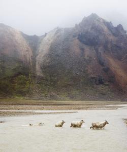 Landmannalaugar