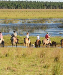 Argentina Horse Riding